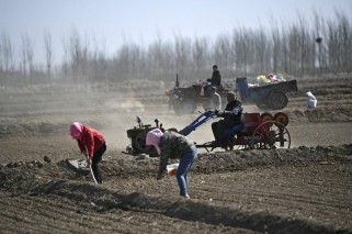 有机农场：从土壤健康到生态平衡，轻松掌握可持续农业秘诀