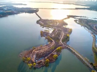 武汉植物园游览全攻略：门票交通、花期路线、特色景点一站式解决