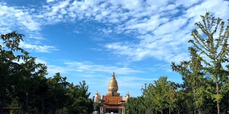 山东汶上旅游攻略:探索儒释圣地与千年文化,体验便捷快乐之旅 山东汶上旅游攻略:探索儒释圣地与千年文化,体验便捷快乐之旅