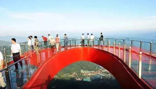 高清海东青图片大全下载:捕捉白色猎手的野性之美与拍摄技巧 高清海东青图片大全下载:捕捉白色猎手的野性之美与拍摄技巧