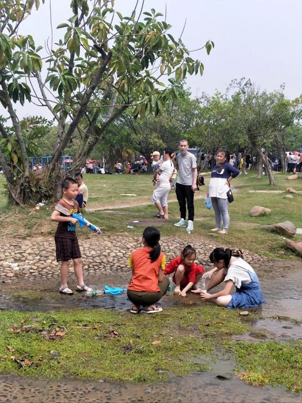 深圳海上田园游玩全攻略:门票预订、最佳路线、特色活动一网打尽,轻松享受城市生态之旅 深圳海上田园游玩全攻略:门票预订、最佳路线、特色活动一网打尽,轻松享受城市生态之旅