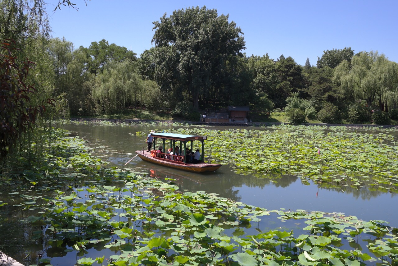 紫竹院公园游玩全攻略:免费门票、交通指南、四季美景与隐藏玩法,轻松享受北京城市绿洲 紫竹院公园游玩全攻略:免费门票、交通指南、四季美景与隐藏玩法,轻松享受北京城市绿洲