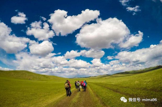 草原的图片:捕捉自由与治愈的绝美瞬间,轻松找到完美素材 草原的图片:捕捉自由与治愈的绝美瞬间,轻松找到完美素材