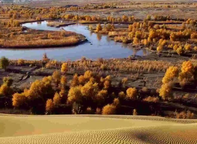 塔里木盆地:中国西北能源宝库与生态奇观全解析 塔里木盆地:中国西北能源宝库与生态奇观全解析