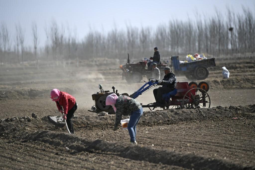 有机农场:从土壤健康到生态平衡,轻松掌握可持续农业秘诀 有机农场:从土壤健康到生态平衡,轻松掌握可持续农业秘诀