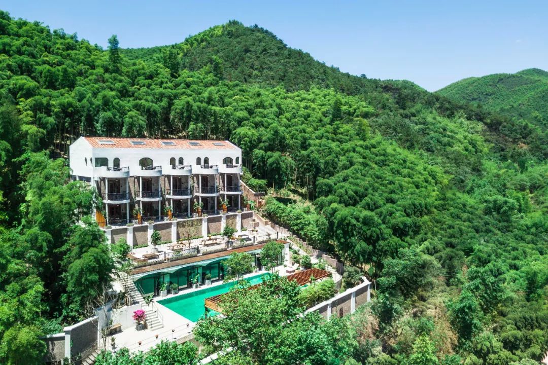 莫干山旅游攻略:四季游玩指南与住宿推荐,轻松规划完美避暑之旅 莫干山旅游攻略:四季游玩指南与住宿推荐,轻松规划完美避暑之旅