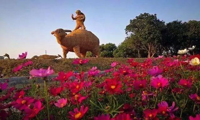 西塘天气全攻略:四季气候特征、天气预报获取与不同天气游览指南 西塘天气全攻略:四季气候特征、天气预报获取与不同天气游览指南